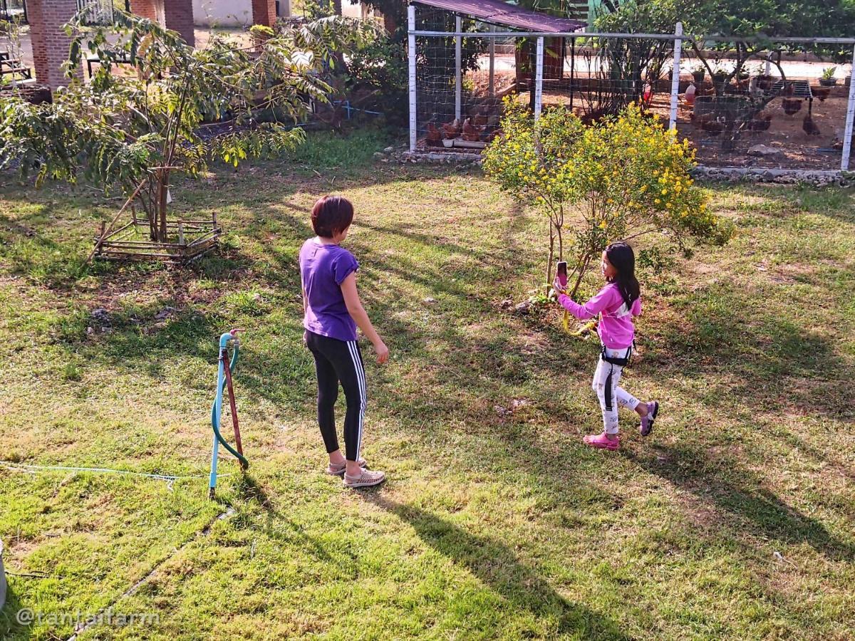 Tantai Eco Farm Stay At Khao Yai Ban Sap Noi Exteriér fotografie