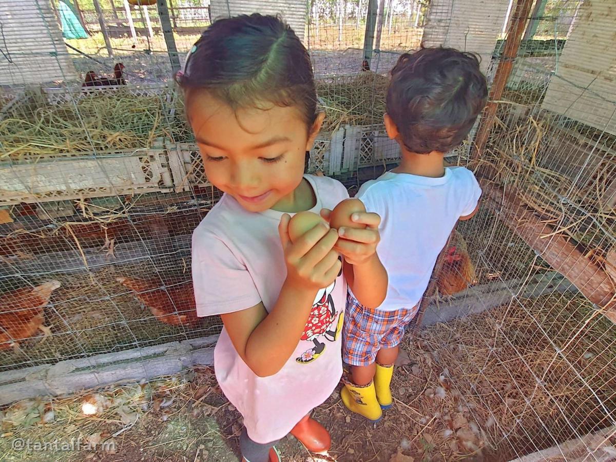 Tantai Eco Farm Stay At Khao Yai Ban Sap Noi Exteriér fotografie