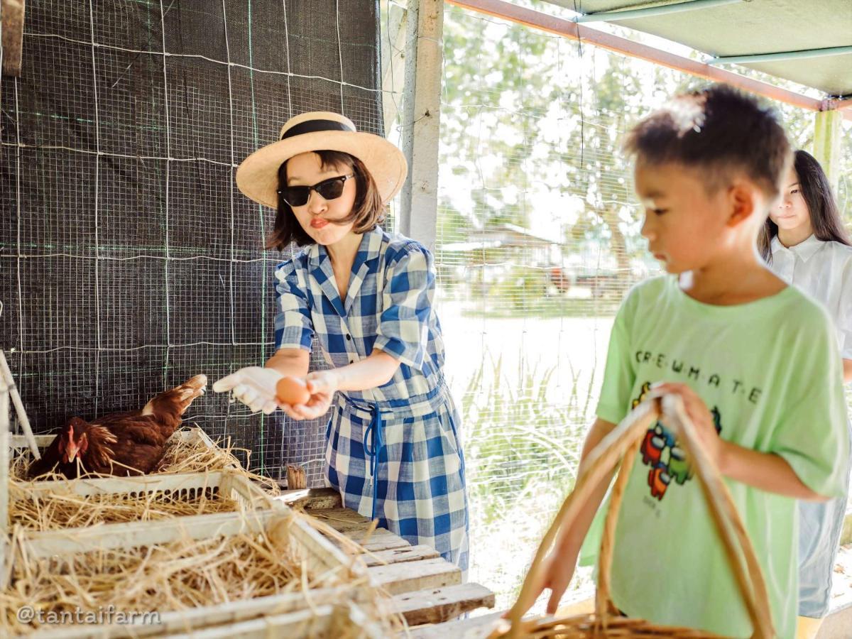 Tantai Eco Farm Stay At Khao Yai Ban Sap Noi Exteriér fotografie